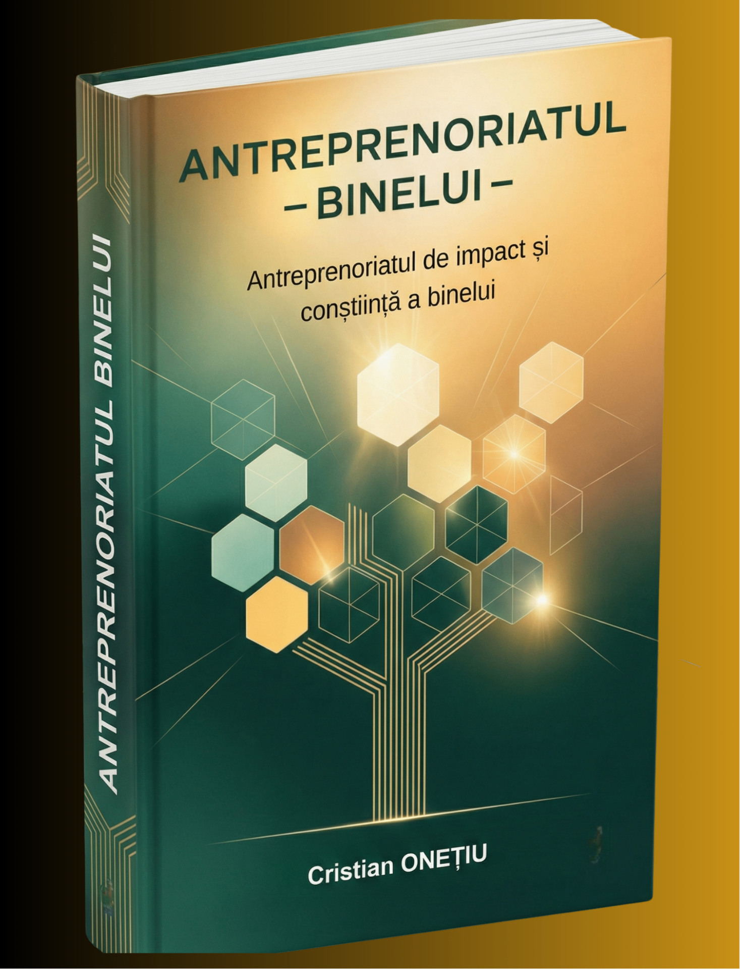 Antreprenoriatul Binelui